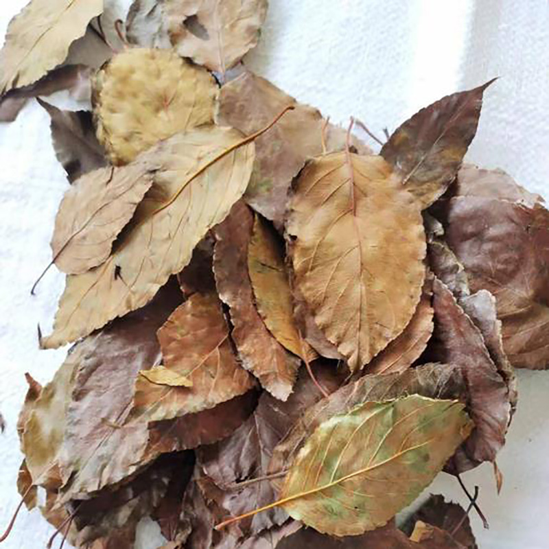 药食凉茶散装山楂叶 - Image 2