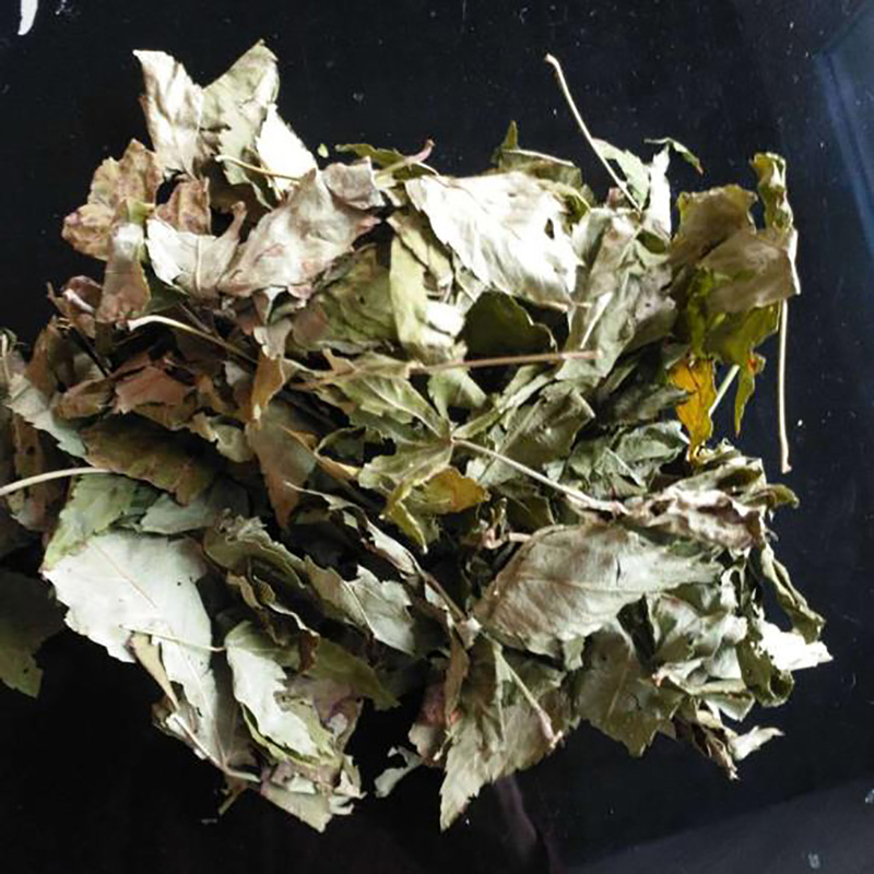 广西特产花草茶刺儿茶黑莓叶 - Image 2