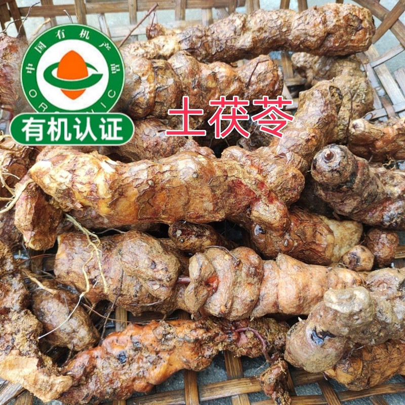 基地供应有机新鲜土茯苓 - Image 2